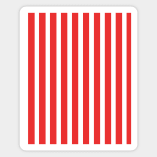 Abay | Red Stripes Pattern Magnet